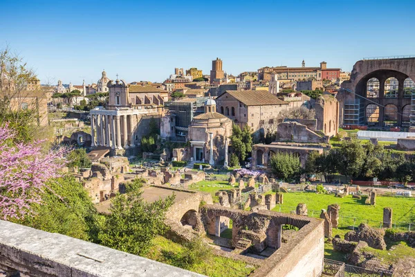 De Roman Forum landmark van Rome in Italië — Stockfoto