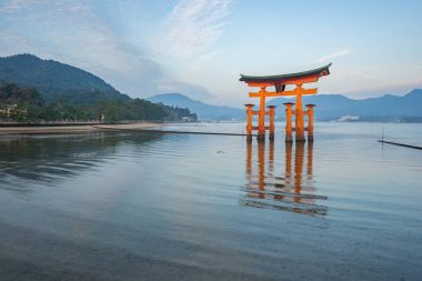 Torii kayan kapı Miyajima Island, Japonya