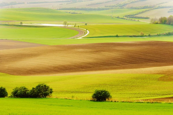 La Toscane morave en République tchèque — Photo