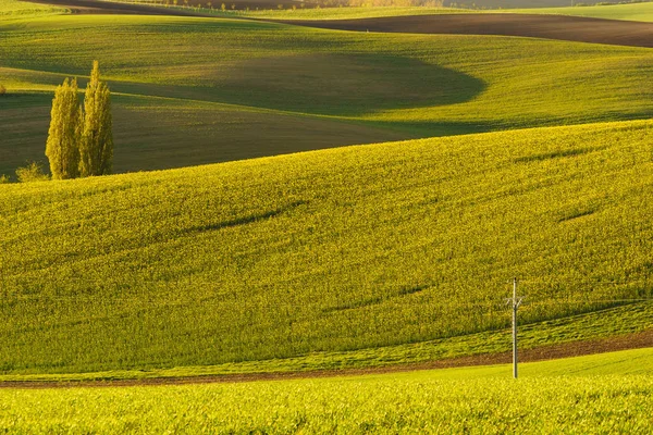 La Toscane morave en République tchèque — Photo