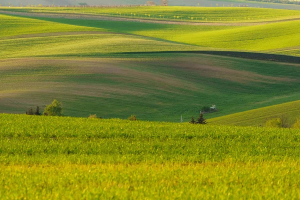 La Toscane morave en République tchèque — Photo