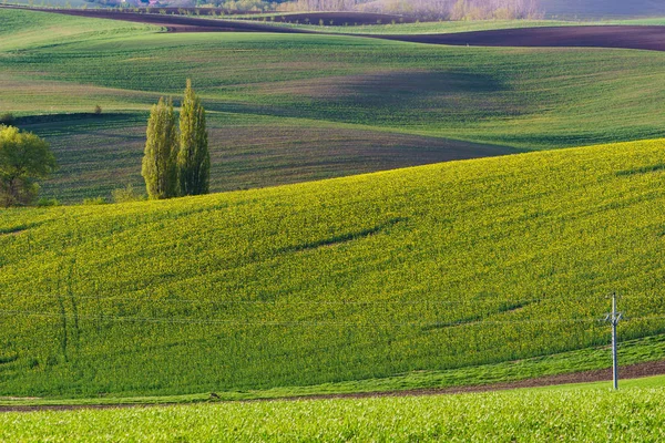 La Toscane morave en République tchèque — Photo