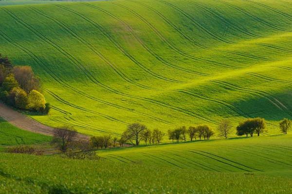 Moravian Tuscany in the Czech Republic — Stock Photo, Image