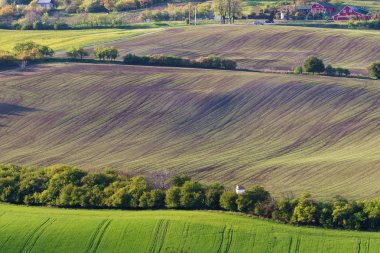 Çek Cumhuriyeti'nde Moravyalı Tuscany