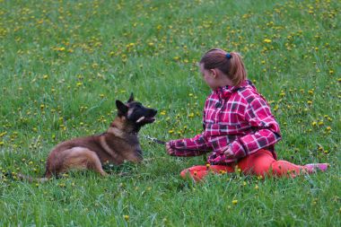 Kız ve köpeği bir çayır üzerinde