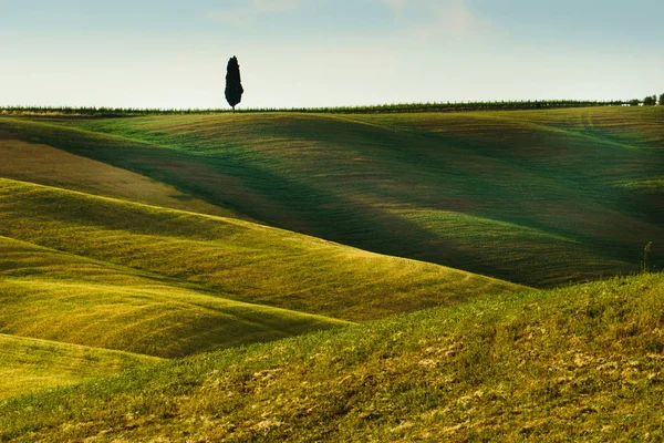 Primavera Toscana, Italia — Foto de Stock