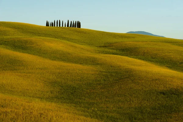 Primavera Toscana, Italia — Foto de Stock