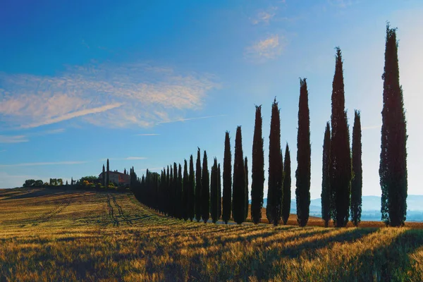 Lente Toscane, Italië — Stockfoto