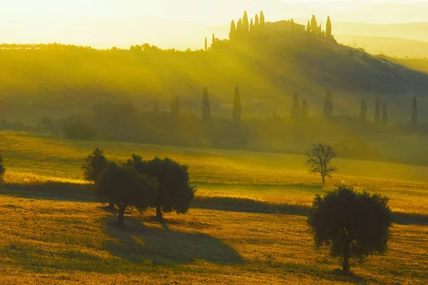 Printemps Toscane, Italie — Photo