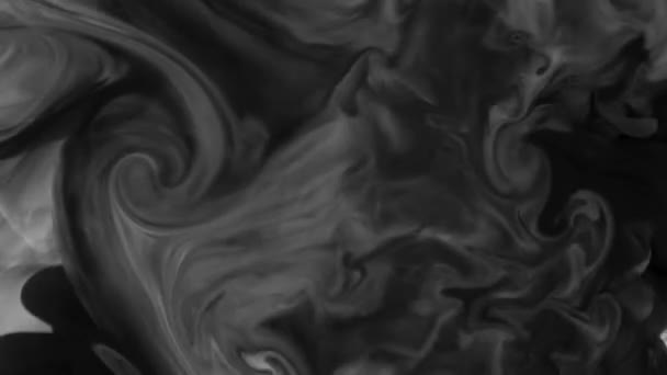 Des images 4K. Encre dans l'eau. Encre noire mouillant dans l'eau créant un fond abstrait . — Video