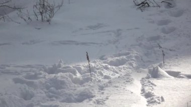 Uyuşuk görüntüleri. Snowboard püskürtme kar içine kamera