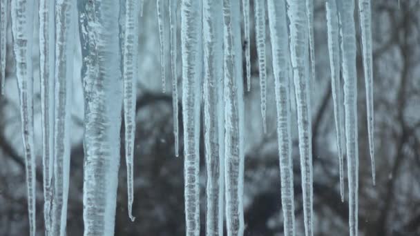 Ağır çekim. Dış pencere ve düşen kar buz sarkıtları. — Stok video