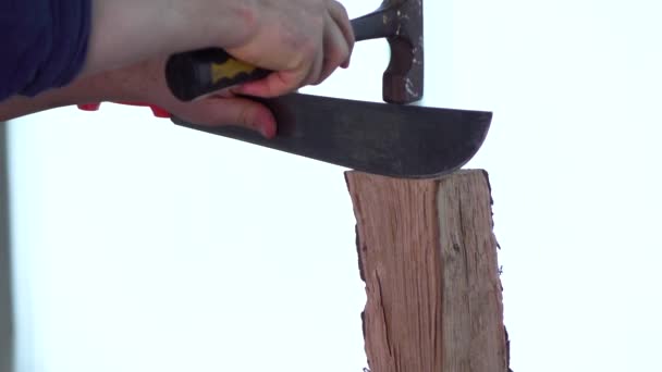 Медленная съемка. Мачете режет кусок дерева от удара молотком — стоковое видео
