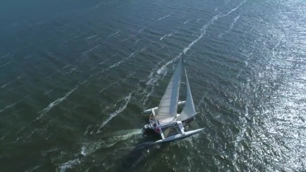 4 k の空中映像。三胴船トップ ビュー — ストック動画