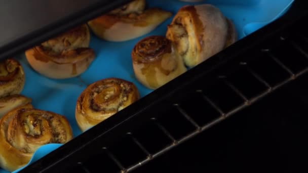 Slow motion footage. Woman taking cinnamon rolls out of oven — Stock Video