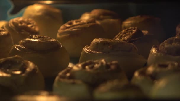 Slow motion footage. Closeup of cinnamon rolls being baked into hot oven — Stock Video