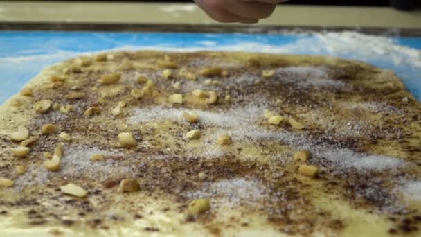 Slow motion footage. Baker hand sprinkling a layer of peanuts on raw pastry dough. Top view — Stock Video