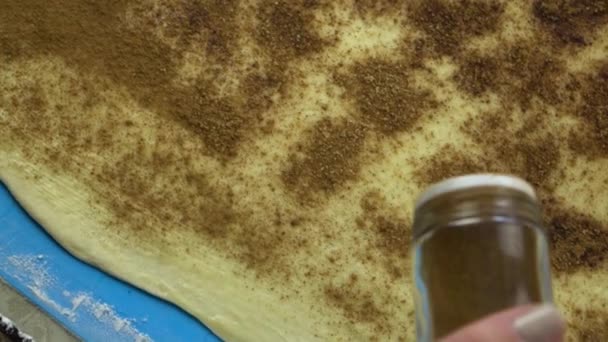 Imágenes en cámara lenta. Baker mano rociando una capa de canela sobre masa de masa de pastelería cruda . — Vídeo de stock