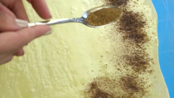 Imágenes en cámara lenta. Baker mano rociando una capa de canela sobre masa de masa de pastelería cruda . — Vídeo de stock