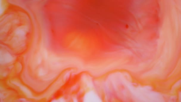 4k-bilder. Bläck i vatten. Rött och orange bläck reagerar i vatten skapar abstrakt bakgrund. — Stockvideo
