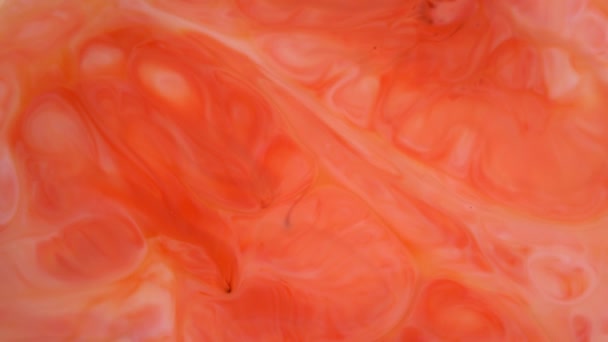 Des images 4K. Encre dans l'eau. Encre rouge et orange réagissant dans l'eau créant un fond abstrait . — Video