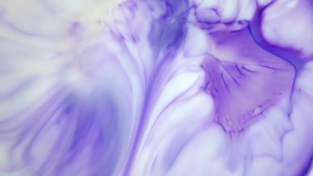 Encre dans l'eau. Encre violette réagissant dans l'eau créant un fond abstrait . — Video