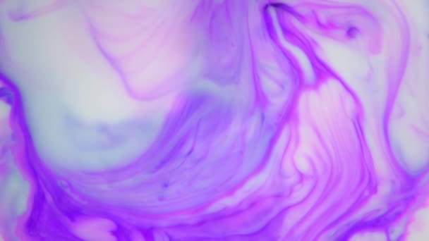 Inchiostro in acqua. Inchiostro viola che reagisce in acqua creando sfondo astratto . — Video Stock