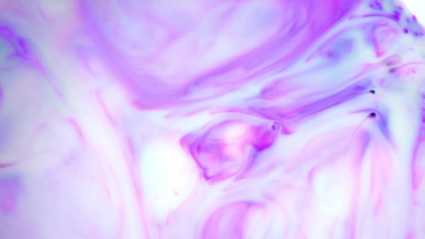 Tinte in Wasser. violette Tinte, die im Wasser reagiert und einen abstrakten Hintergrund schafft. — Stockvideo