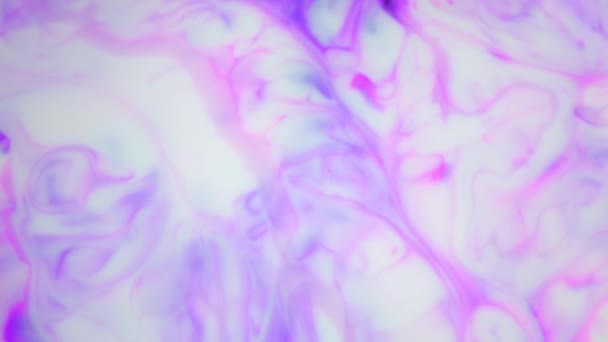Чернила в воде. Фиолетовые чернила реагируют в воде, создавая абстрактный фон . — стоковое видео