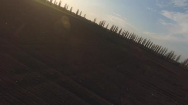 FPV vista del dron por encima del trigo joven al atardecer, movimiento rápido — Vídeos de Stock