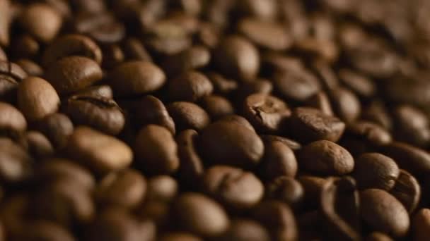 Geroosterde koffiebonen close-up. Gemengde donkere koffie — Stockvideo