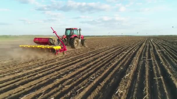 Vista aérea do trator trabalhando no campo com uma moderna máquina de sementes de semeadura em um campo recém-lavrado. Mecanização de sementes de plantação. 27 de abril de 2020 Vitachiv, Ucrânia — Vídeo de Stock