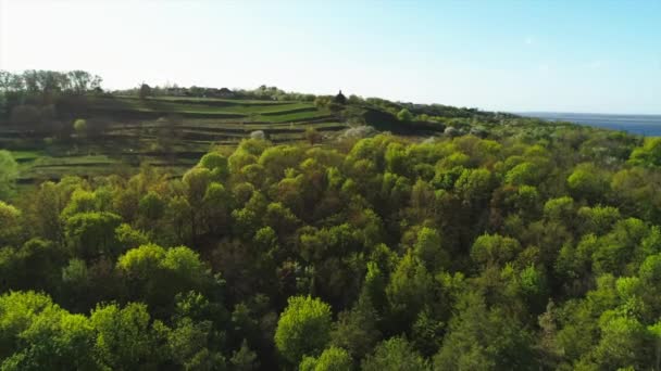 Vista aérea volando sobre las colinas de la aldea de Vitachiv cerca del río Dnipro al atardecer. Horodyshche Novgorod-Svyatopolche — Vídeo de stock