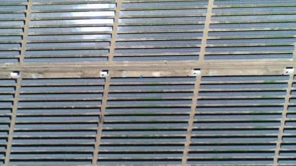 Bovenuitkijkend vanuit de lucht op zonnige dag op het veld van de zonnecentrale. Bovenaanzicht vanuit de lucht van Solar Farm. Technologie voor hernieuwbare energie. Breed schot — Stockvideo