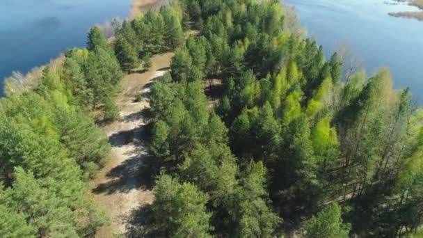 Luchtfoto drone uitzicht op wilde bos eiland op Dnipro rivier in Oekraïne — Stockvideo