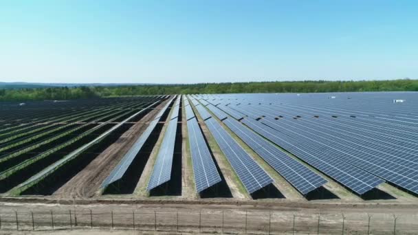 Luchtfoto van het veld van de zonnecentrale op zonnige dag. Bovenaanzicht vanuit de lucht van Solar Farm. Technologie voor hernieuwbare energie. Breed schot — Stockvideo