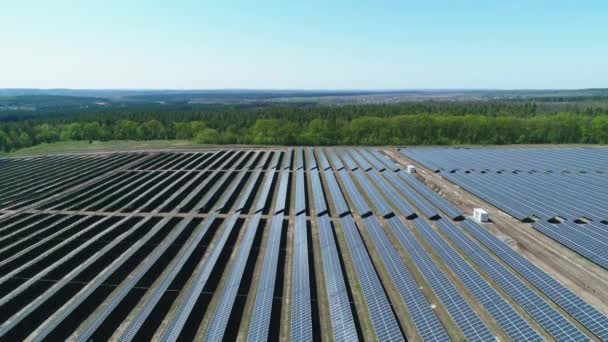 Luchtfoto van het veld van de zonnecentrale op zonnige dag. Bovenaanzicht vanuit de lucht van Solar Farm. Technologie voor hernieuwbare energie. Breed schot — Stockvideo