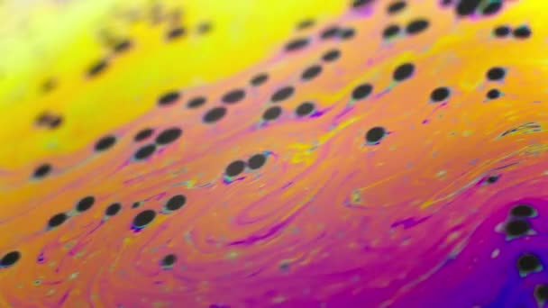 Барвисті абстрактні кольори фонової рідини веселки в русі, макро постріл — стокове відео