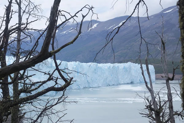 Ledovec Perito Moreno (Patagonie) — Stock fotografie