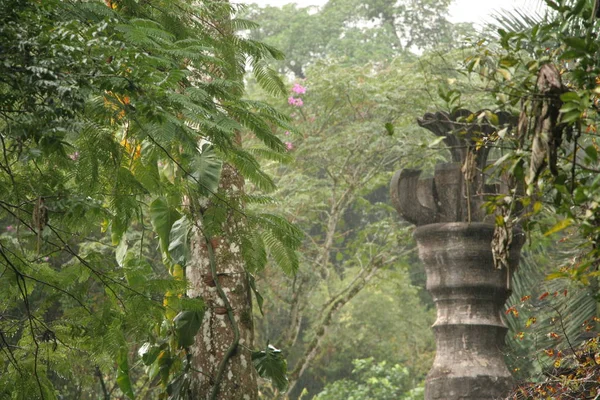 Las Pozas, ein surrealistischer botanischer Garten in Xilitla Mexiko von Edward James — Stockfoto