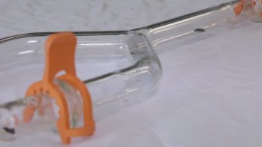 Tenebrio olfactometer içinde; hayvan davranışları bilimsel deney