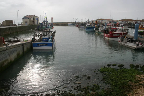 Fotó La Cotiniere Harbor, sziget Oleron, Franciaország — Stock Fotó