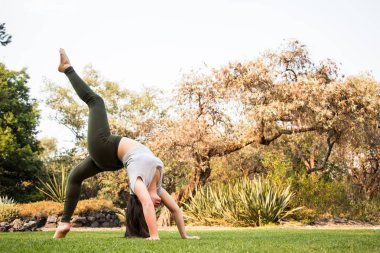 Tek bacaklı Pruva Pozu, Eka Pada Urdhva Dhanurasana