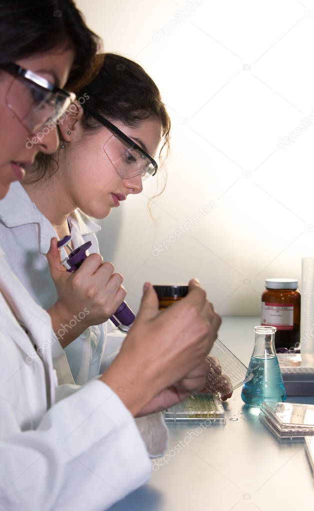 Two lab mates working on science project