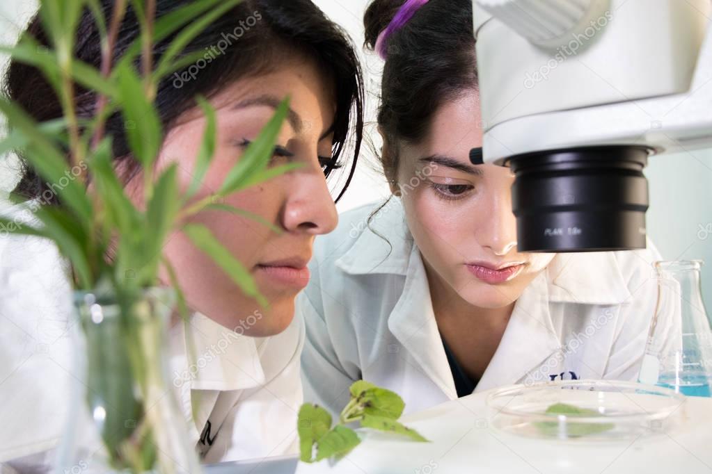 Two cute students learning botanic during a science practical