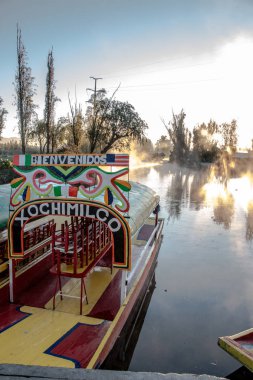 Güzel trajineras, el-boyalı geleneksel renkli deniz araçları Xochimilco Kanallar içinde gezinmek için kullanılan