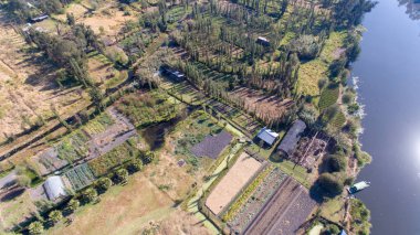 Hava atış Xochimilco bitkileri, chinampas ve su kanalları
