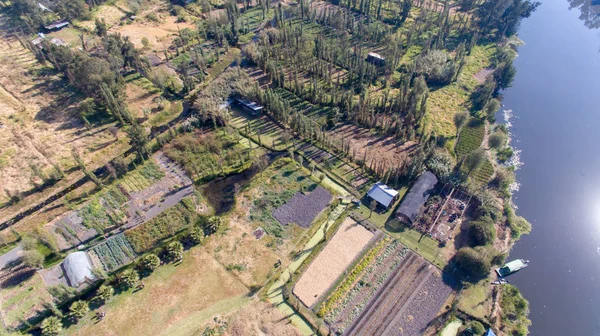 Hava atış Xochimilco bitkileri, chinampas ve su kanalları