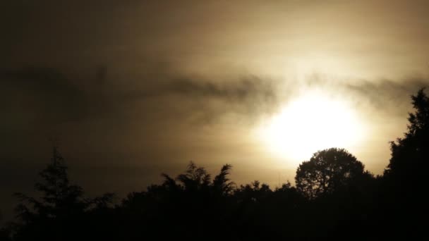 Zonsopgang Boven Een Dennenbos Landelijk Hidalgo Mexico — Stockvideo