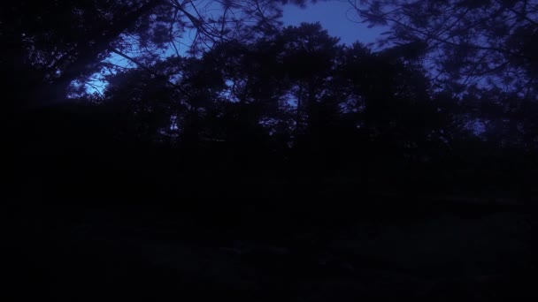 Lapso Tiempo Del Pequeño Río Durante Amanecer — Vídeos de Stock